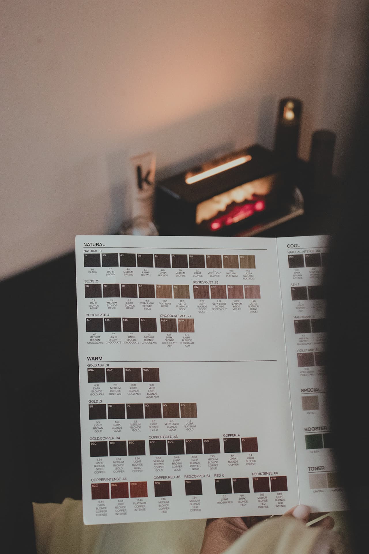 A guest holding a hair colour swatch chart of natural, warm and copper shades